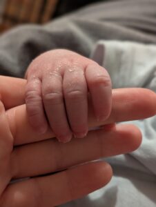Newborn baby hand holding the mums hand straight after being born with a VBAC using Hypnobirthing